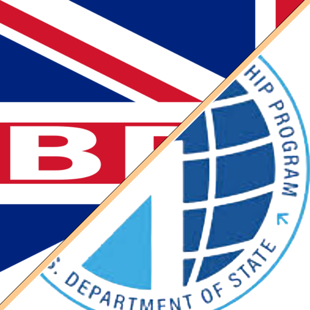 Brexit, Military, and IVLP